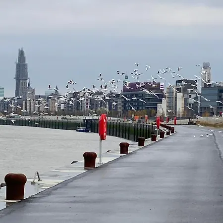 Apartamento Luxe-appartement Aan De Schelde
